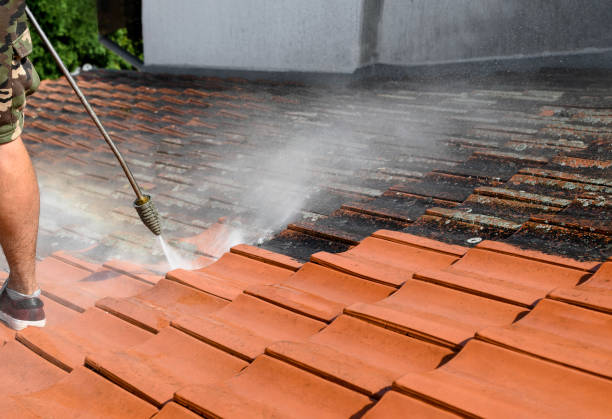 Best Power Washing Near Me  in New Hampton, IA