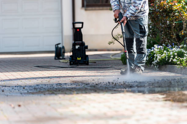 Best Pressure Washing Near Me  in New Hampton, IA