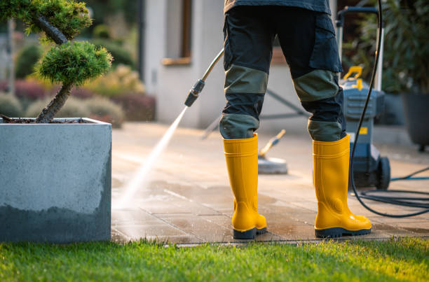 Best Concrete Pressure Washing  in New Hampton, IA